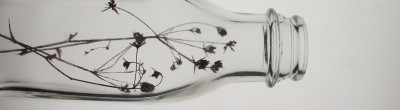 top_04_DSC01563